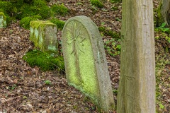 Jüdischer Friedhof Schwarza