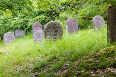 Jüdischer Friedhof Schwarza