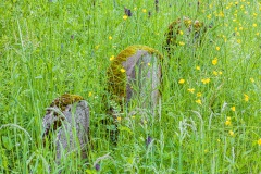Jüdischer Friedhof Walldorf