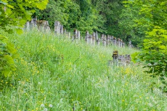 Jüdischer Friedhof Walldorf