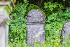 Jüdischer Friedhof Walldorf