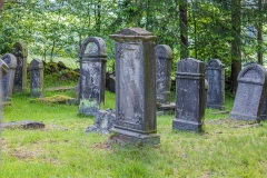 Jüdischer Friedhof Gehaus