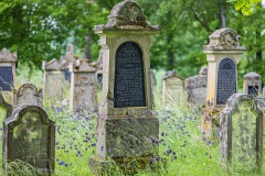 Jüdischer Friedhof Willmars/Neustädtles