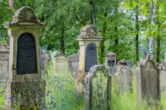 Jüdischer Friedhof Willmars/Neustädtles