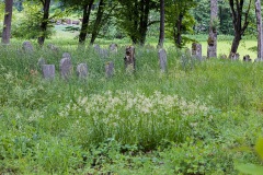 Jüdischer Friedhof Willmars/Neustädtles