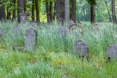 Jüdischer Friedhof Willmars/Neustädtles