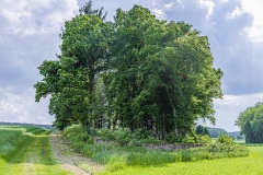 Jüdischer Friedhof Willmars/Neustädtles