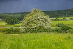 Unwetter Oberstadt