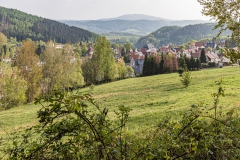 IMG_9659