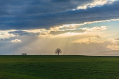 TD30775-HDR