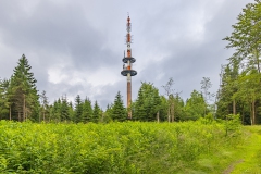 Wald Suhl Erleshügel